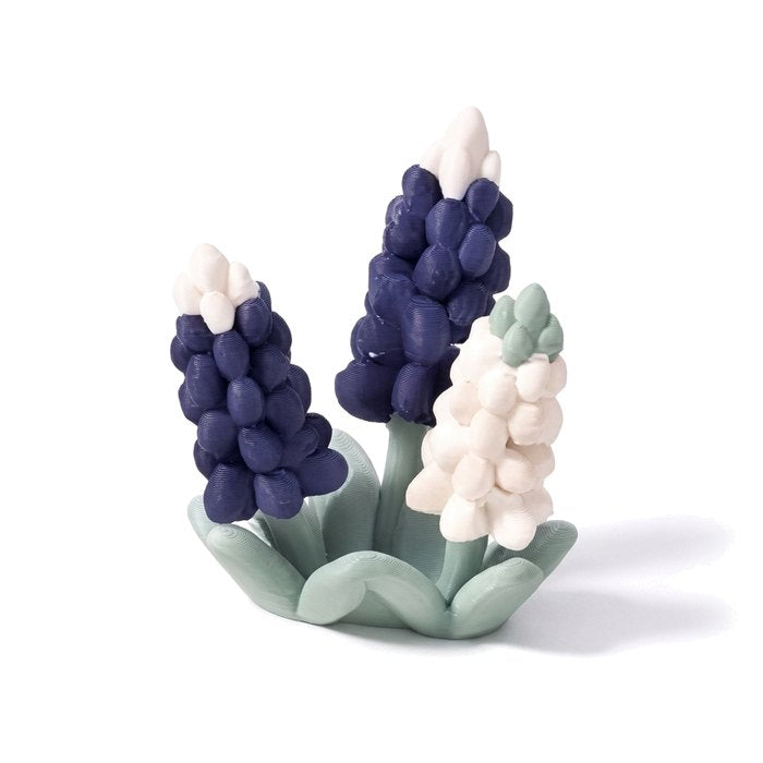 Bluebonnets: a clump of Texas bluebonnets in navy and cream