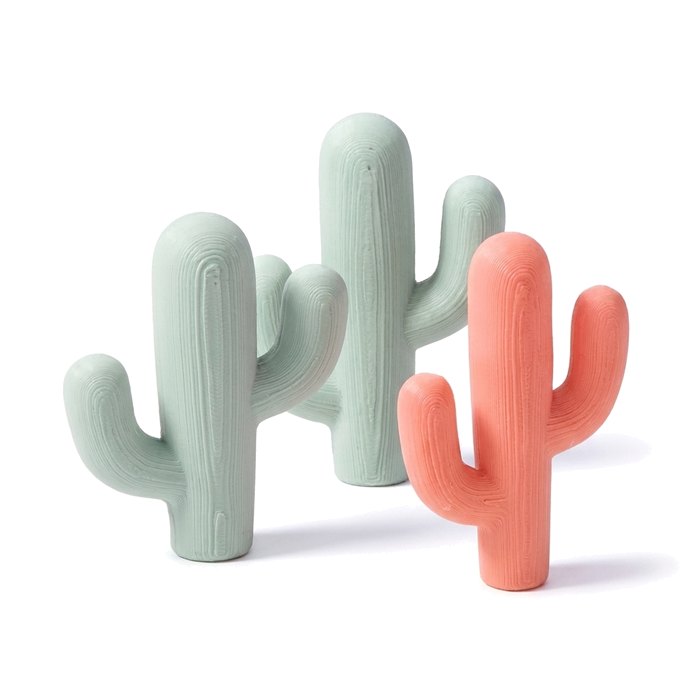 The cactus trio: three chunky cactus in sage and coral